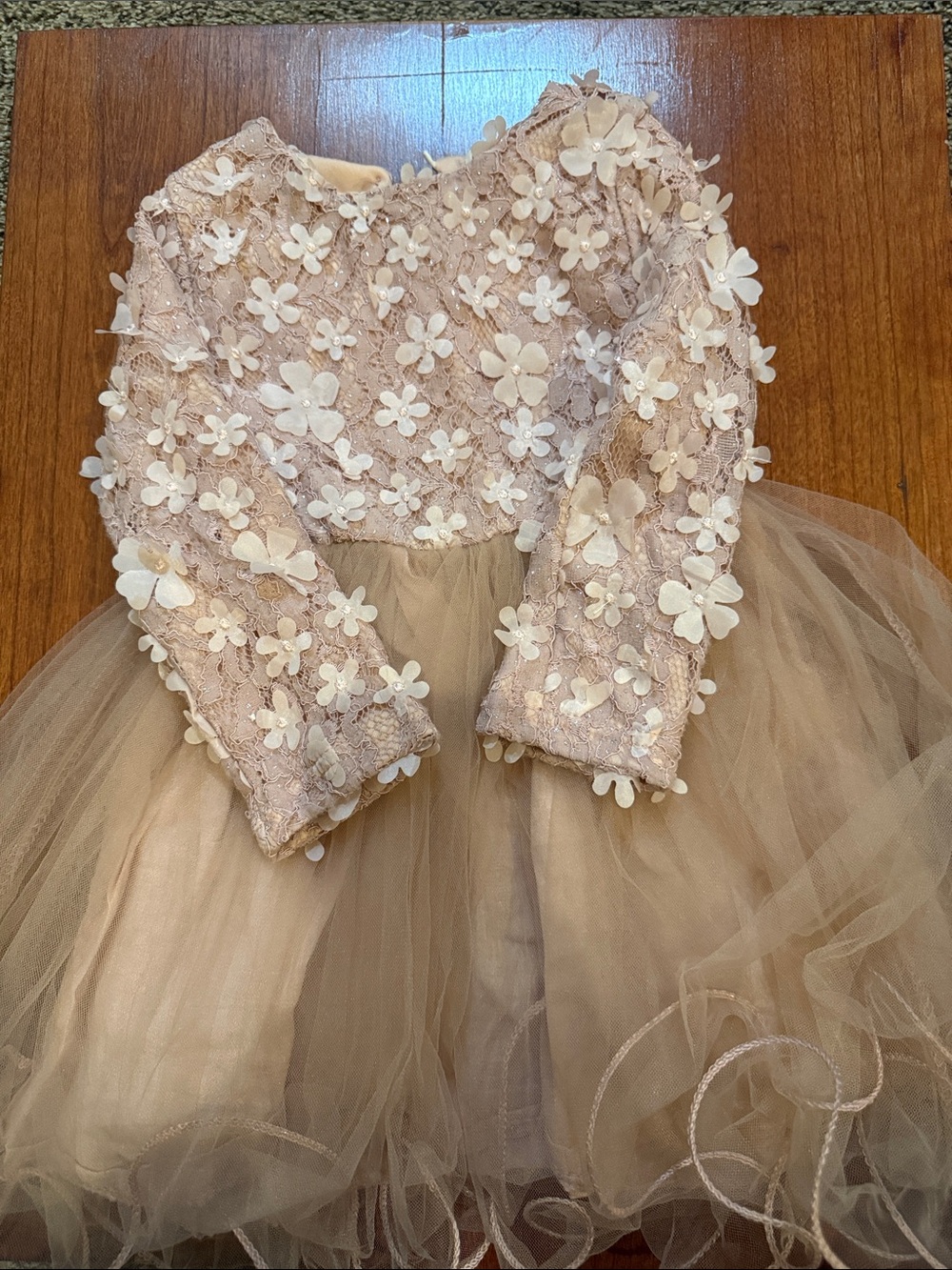 Girls Floral Lace Tulle Dress Costume in Blush Pink